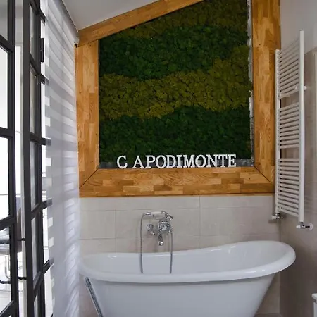 Apartment Penthouse Capodimonte *