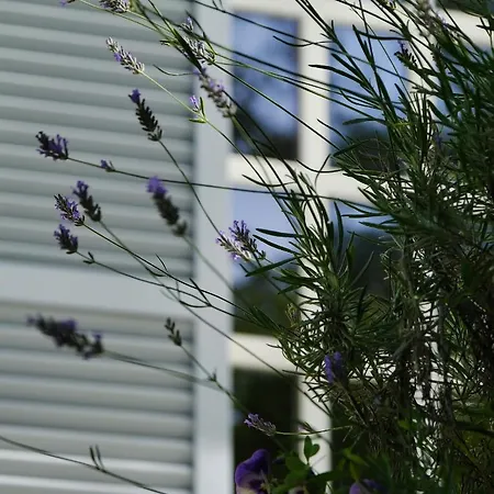 Penthouse Capodimonte *