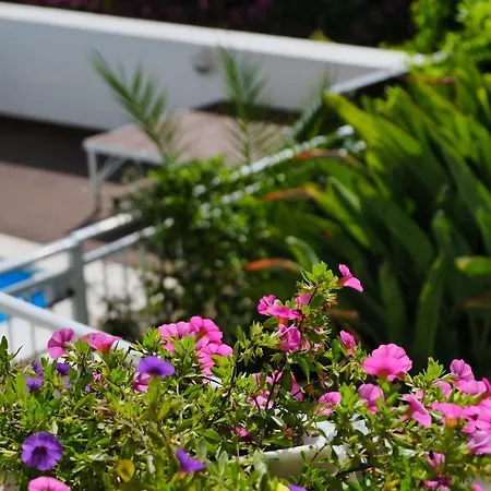 Apartment Penthouse Capodimonte *